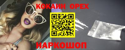 крисы Кунгур