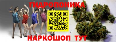 крисы Кунгур