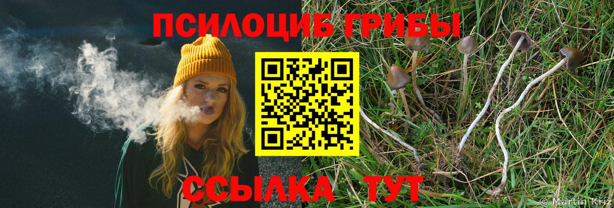 Псилоцибиновые грибы мицелий  Псилоцибиновые грибы GOLDEN TEACHER  Вход с VPN  Каменск-Уральский 